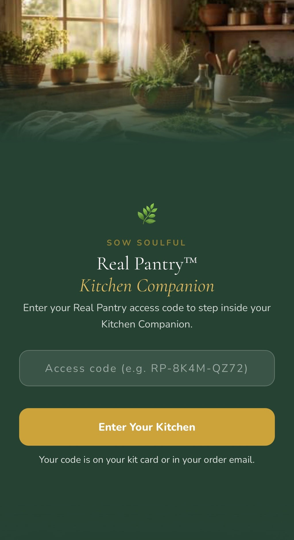 The Real Pantry Kit