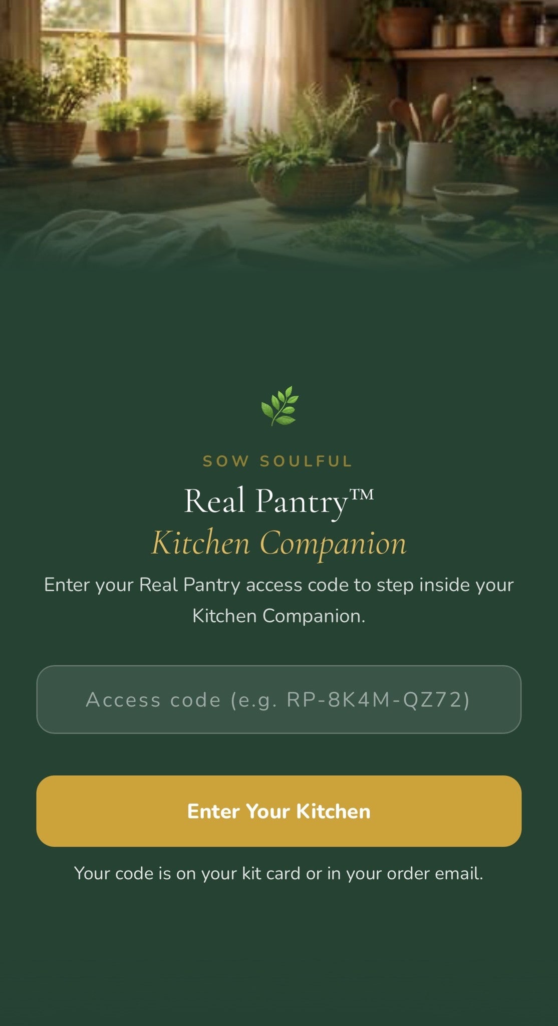 The Real Pantry Kit